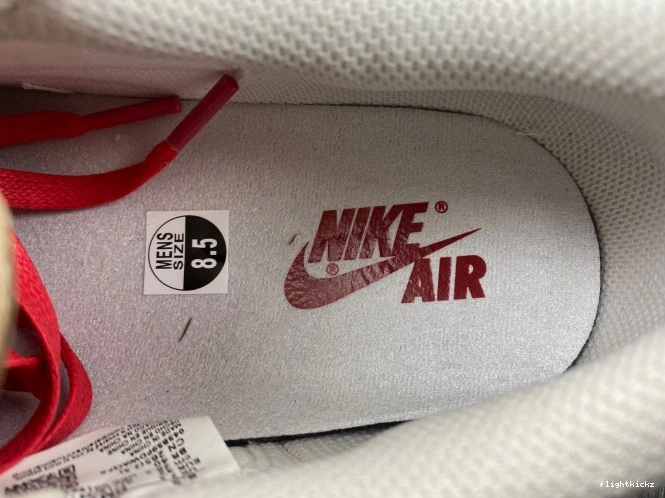 Scott OG Low Air Jordan 1 Travis DM7866-601 x 0810